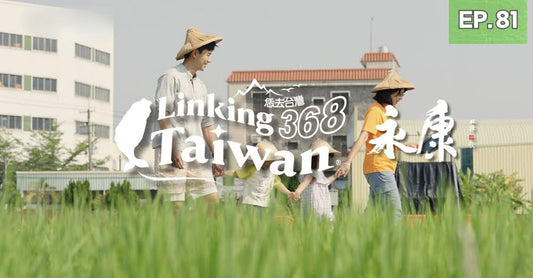 Linking 368 Taiwan 臺南永康篇